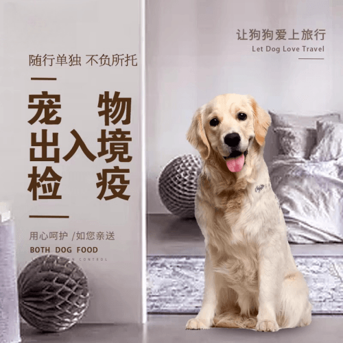 赤峰市宠物托运到哥伦比亚猫狗宠物入境规定和