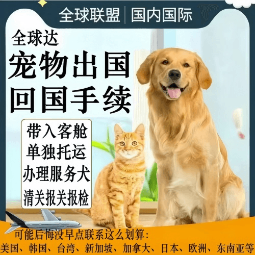 赤峰市宠物托运到柬埔寨宠物入境规定和要求
