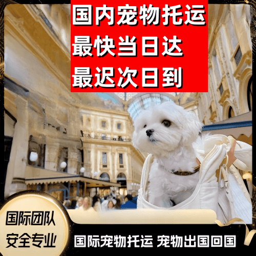 赤峰市到澳大利亚（澳洲）宠物入境规定和要求